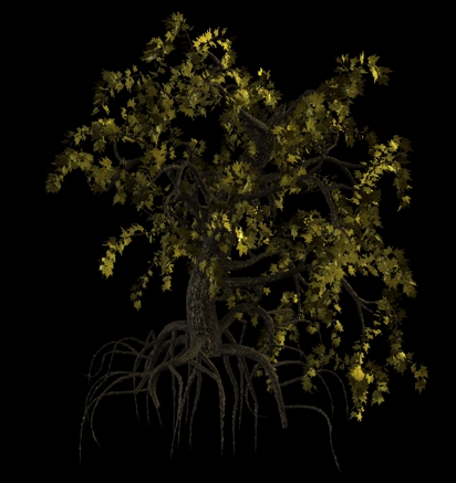 albero_1.jpg