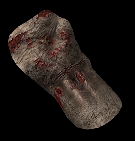 mano_carne_1.jpg