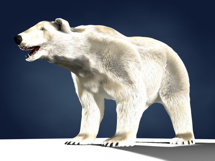 polar.jpg