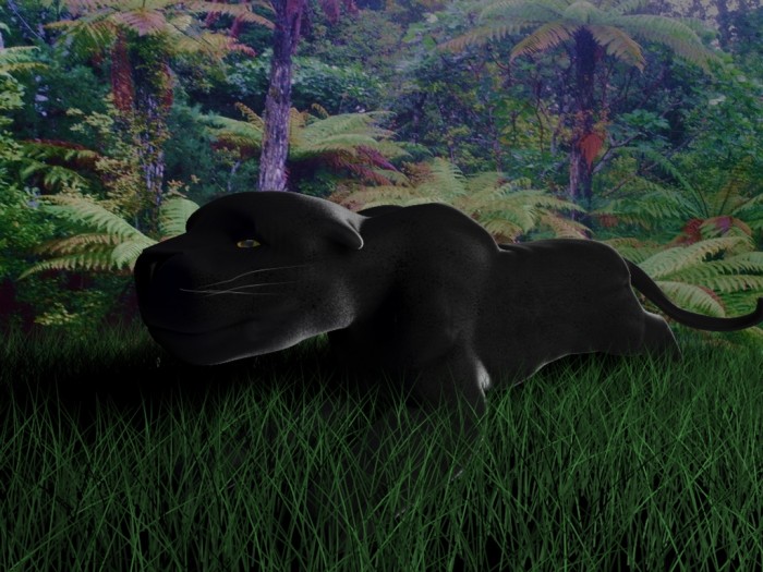 PANT4.jpg