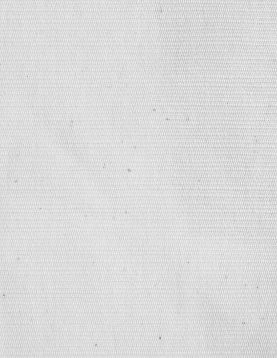 FabricPlain00366555bump.jpg