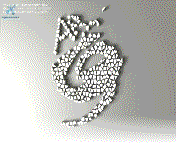 test01.gif