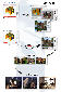 vectorworks_collage.jpg