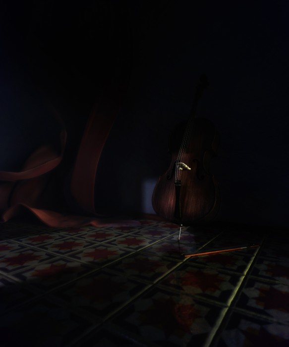 cello_10_T.jpg