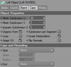 loftnurbs.gif