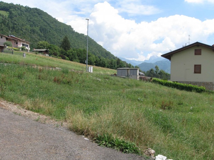 foto.JPG