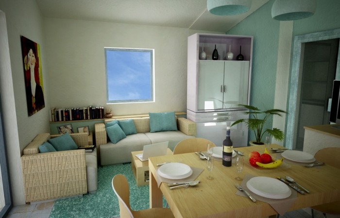 vista cormorani 2.jpg