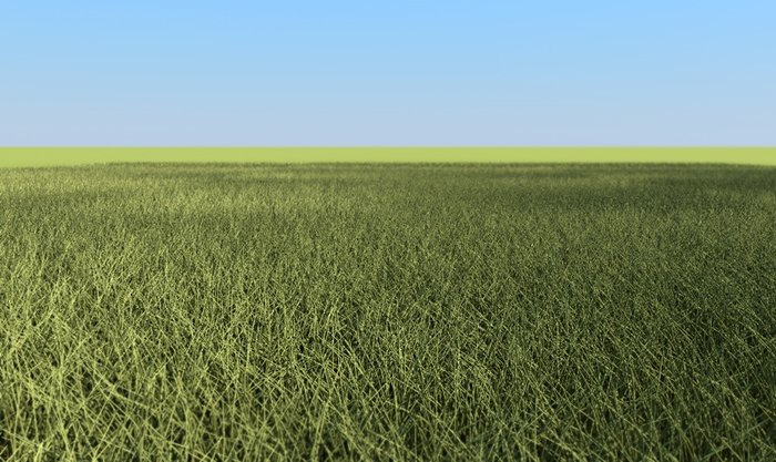 render1.jpg