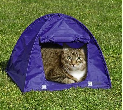tenda.jpg