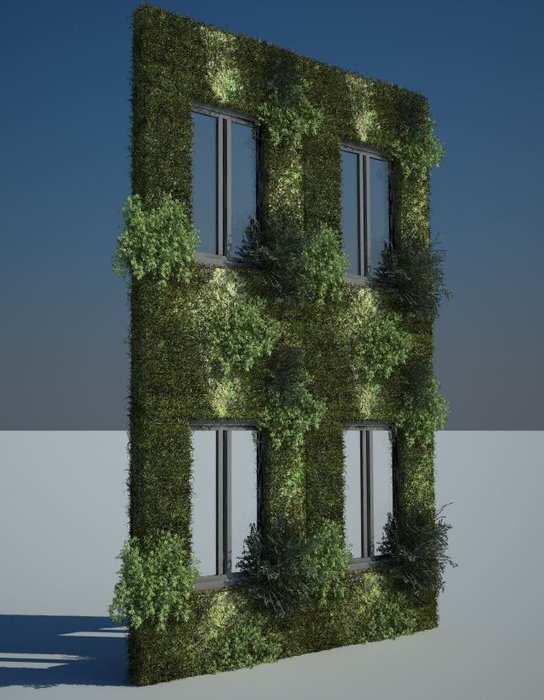 vegetazione2.JPG