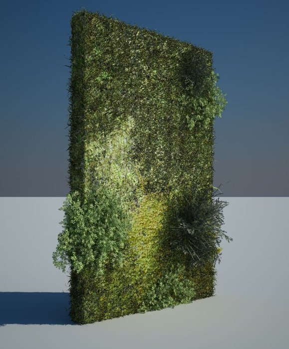 esempio vegetazione.JPG