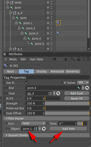 Pole vector1.jpg