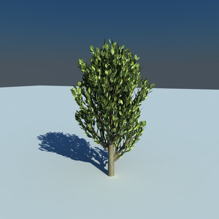 albero.jpg (94.82 KiB) Visto 607 volte albero.jpg