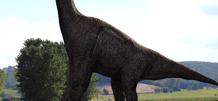 brachiosauro_close.jpg