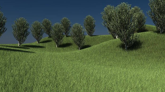 colline.jpg