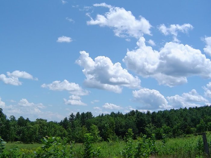 55.jpg