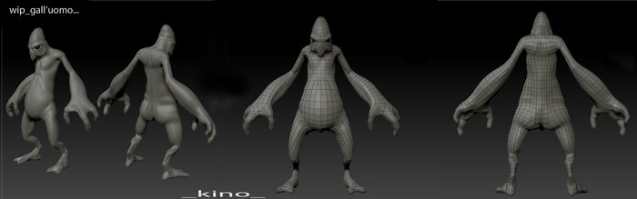 test_uomoGALLO!.jpg