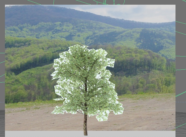 albero alpha.jpg