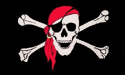 pirata-bandana.jpg