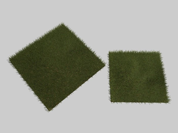 ERBA+1.jpg