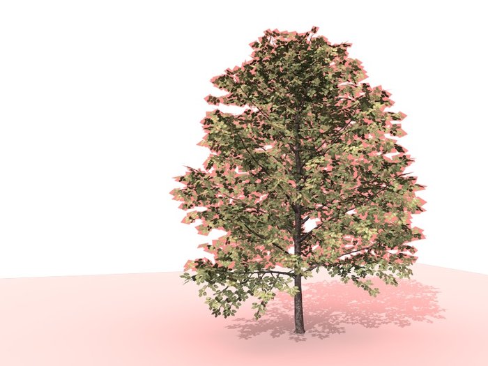 leaf.jpg