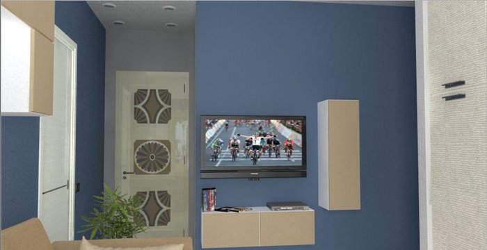 tv porta.JPG