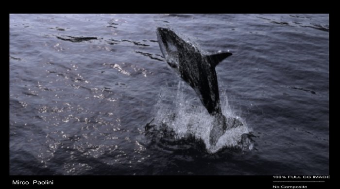 Killer_Whale_Stillò.jpg
