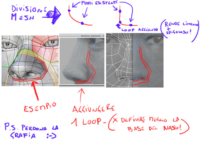 esempio base del naso.jpg