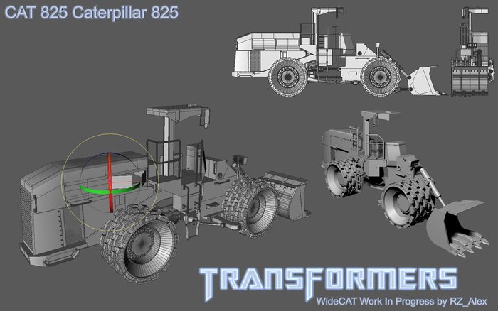 CAT825.JPG
