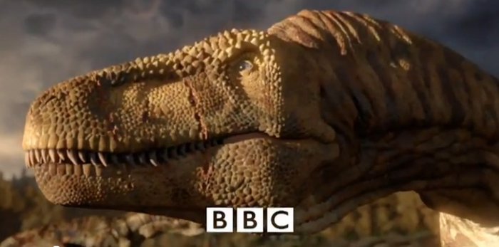bbc.jpg