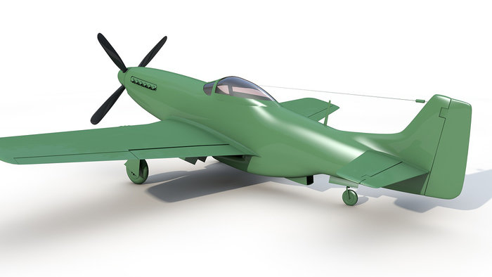 p51_12.jpg