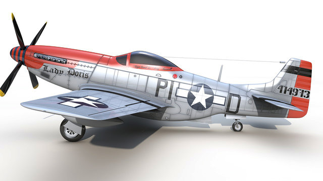 p51_28.jpg