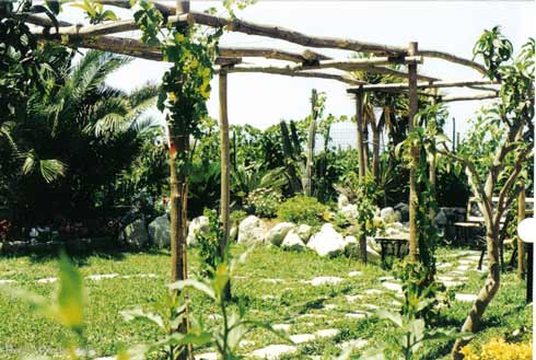 1226184102Pergolato.jpg