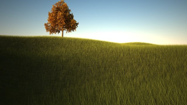 collina.jpg