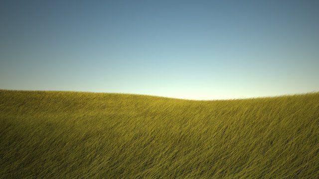 collina2.jpg
