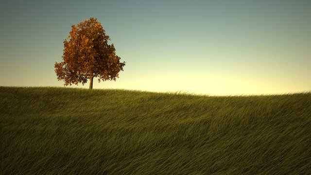 collina3.jpg