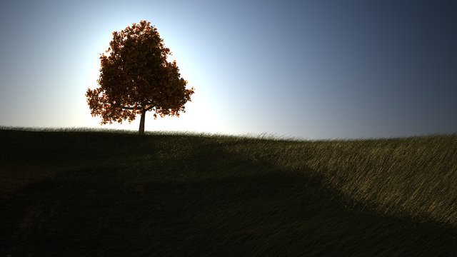 collina6.jpg