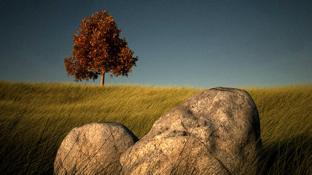 collina8_contrasto.jpg