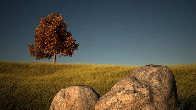 collina_final.jpg