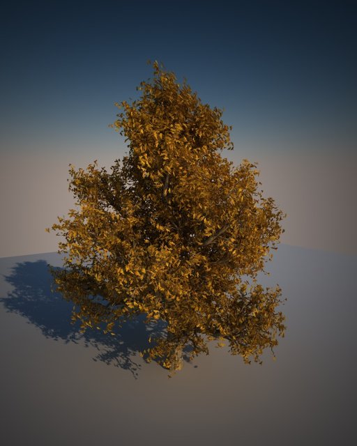 albero.jpg