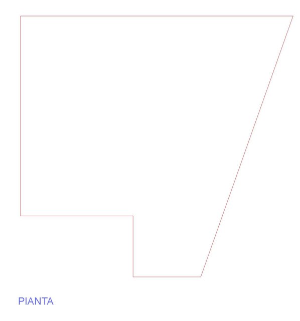 pianta.jpg