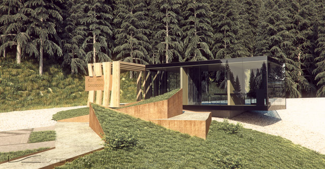 P1.jpg