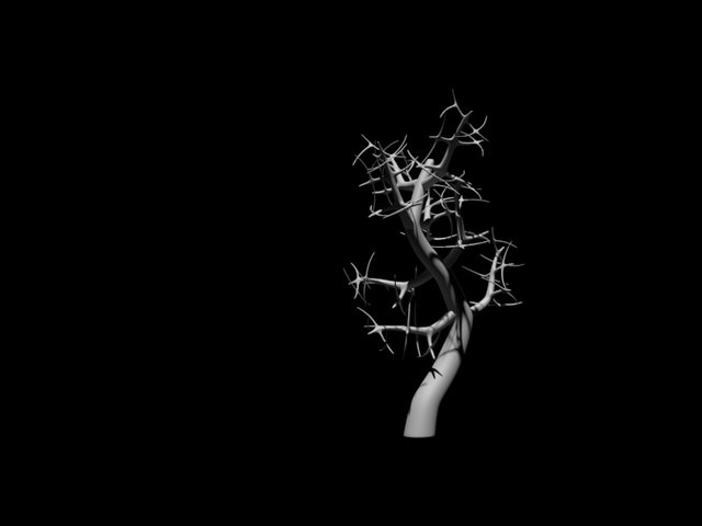 albero.jpg