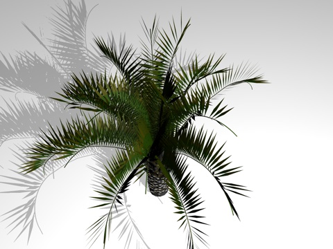 ALBERO 2.jpg