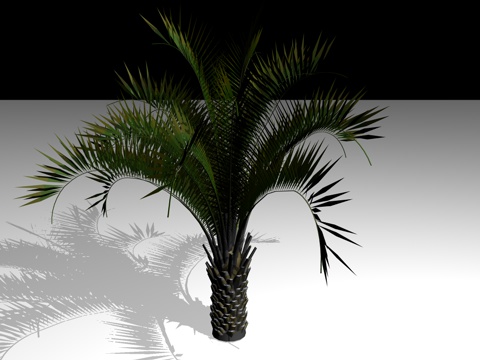 ALBERO.jpg