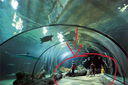 acquario_zoo_rotterdam.jpg