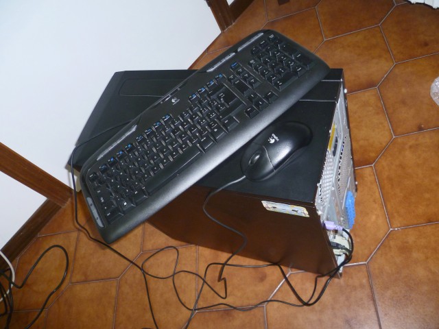P1060560m.jpg