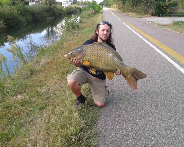 carpa naviglio.jpg