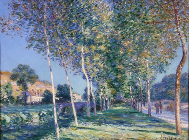 immagine scaricata
