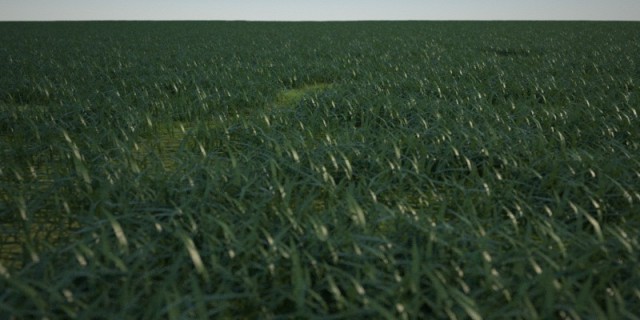 grass03.jpg